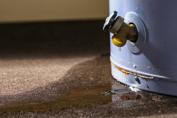 Best Water damage restoration near me  in Holiday, FL