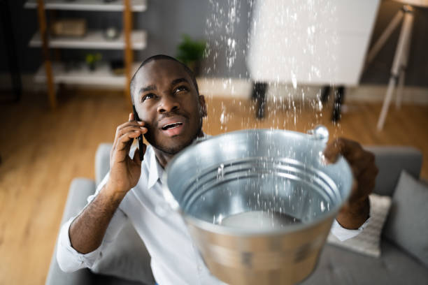 Best Water damage restoration near me  in Holiday, FL