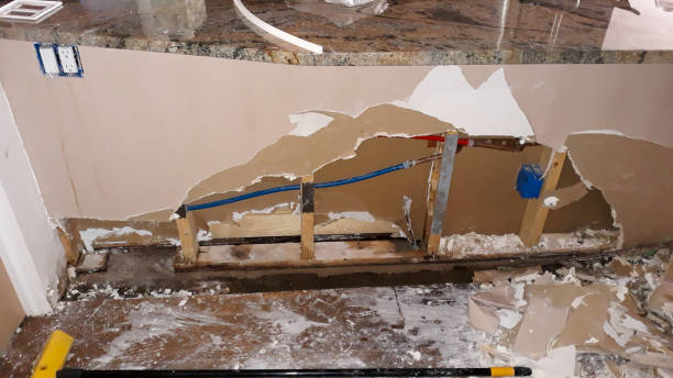 Best Local water damage restoration  in Holiday, FL