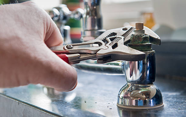 Best Water damage cleanup near me  in Holiday, FL
