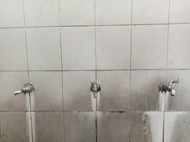Best Emergency water damage restoration  in Holiday, FL