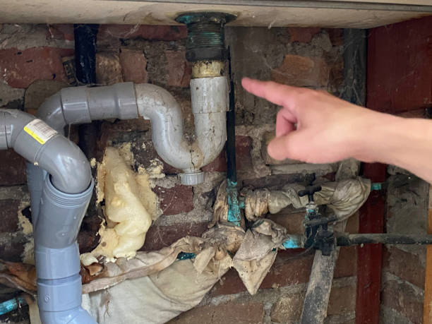  Holiday, FL Water damage restoration Pros