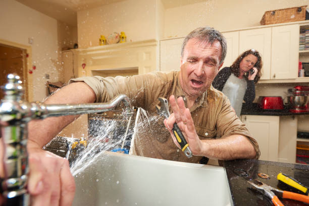Best 24/7 water damage repair  in Holiday, FL